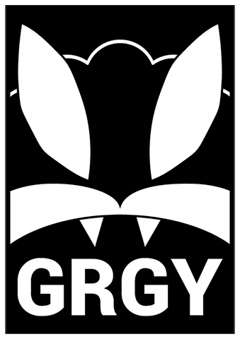 GRGY Face BW preview